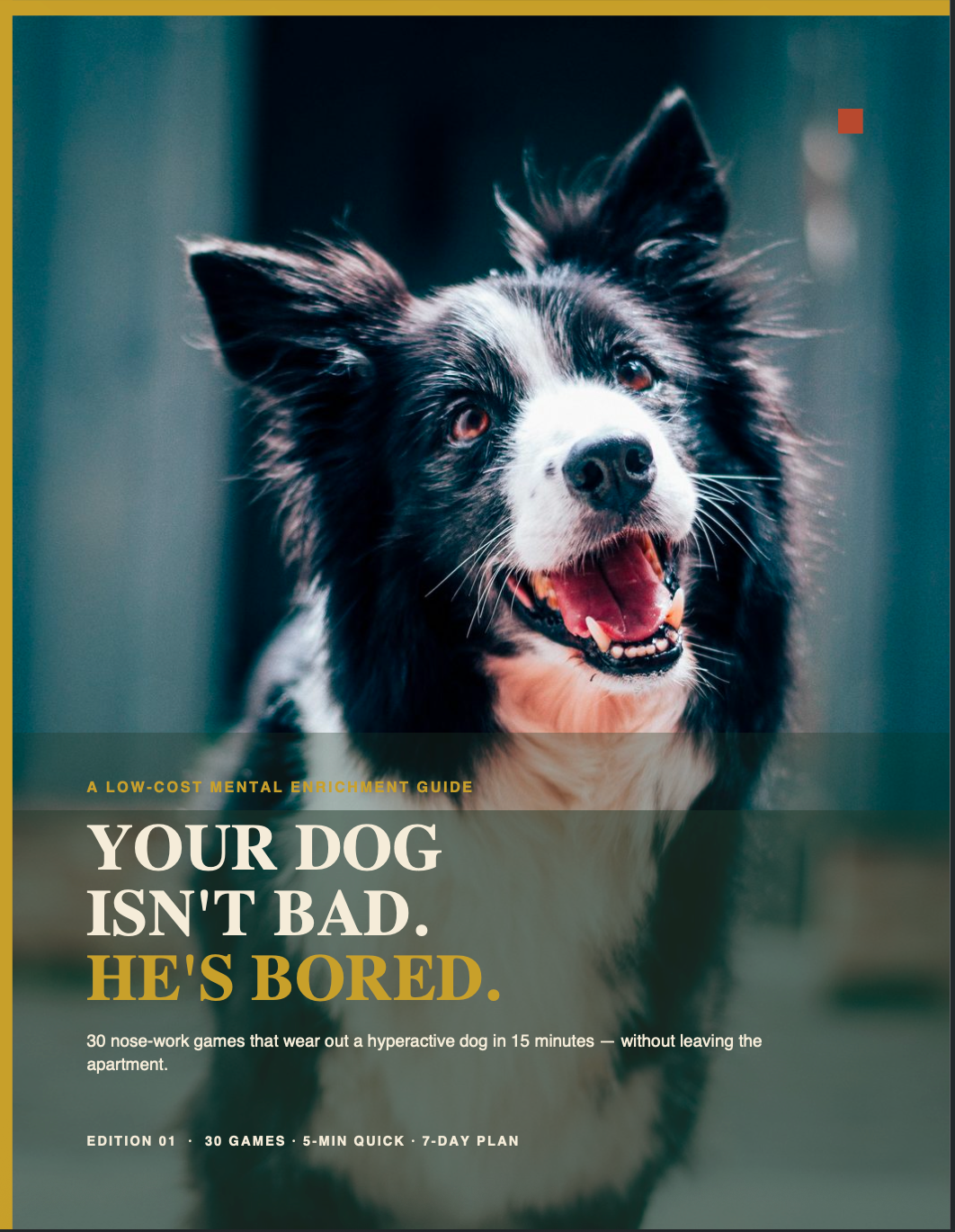 Your Dog Isn't Bad He's Bored